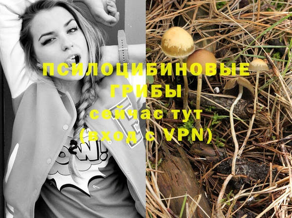 Альфа ПВП Алзамай